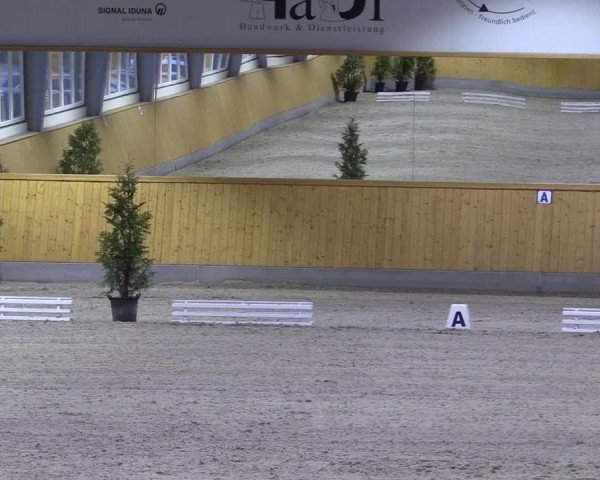 Spring- und Dressur Late Entry Münster-Amelsbüren 2022
