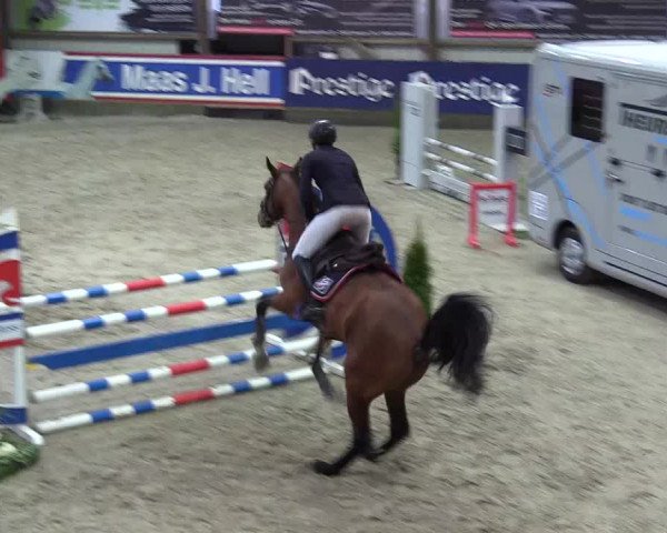 8. Nordic Jumping Event in Negernbötel 2022