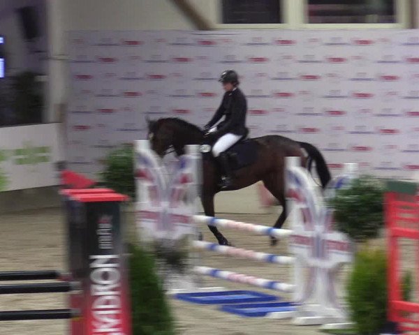 8. Nordic Jumping Event in Negernbötel 2022