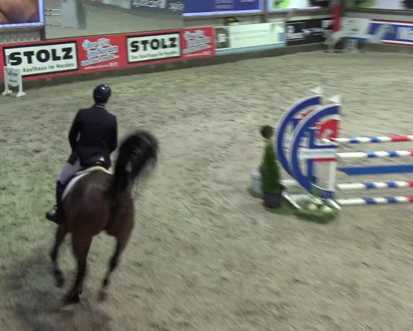 8. Nordic Jumping Event in Negernbötel 2022