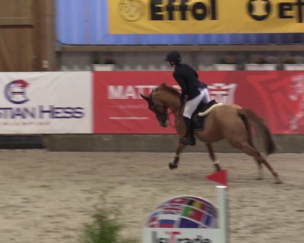 8. Nordic Jumping Event in Negernbötel 2022
