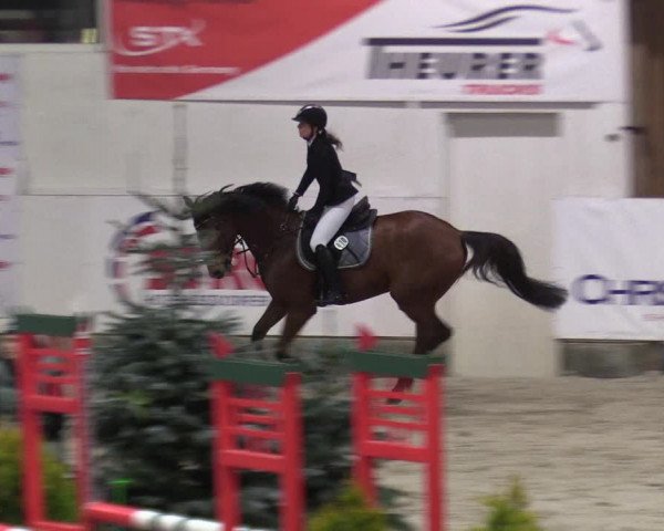 8. Nordic Jumping Event in Negernbötel 2022