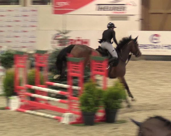 8. Nordic Jumping Event in Negernbötel 2022