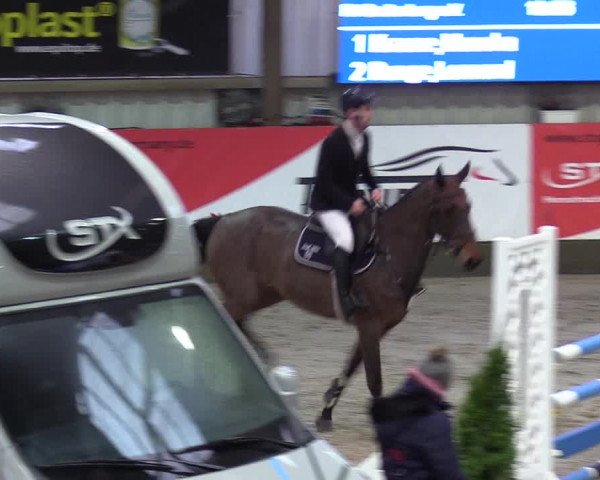 8. Nordic Jumping Event in Negernbötel 2022