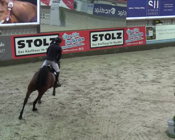 8. Nordic Jumping Event in Negernbötel 2022