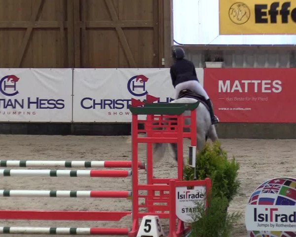 8. Nordic Jumping Event in Negernbötel 2022