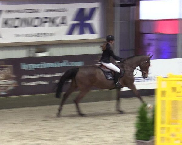 8. Nordic Jumping Event in Negernbötel 2022
