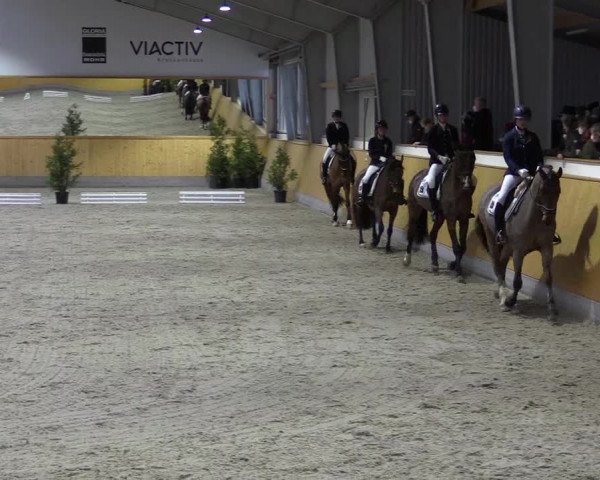 Spring- und Dressur Late Entry Münster-Amelsbüren 2022