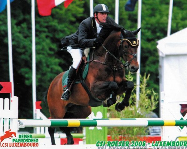 horse Late night (Rhinelander, 1995, from Lancer II)