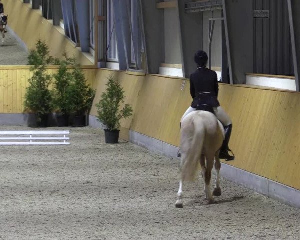 Spring- und Dressur Late Entry Münster-Amelsbüren 2022