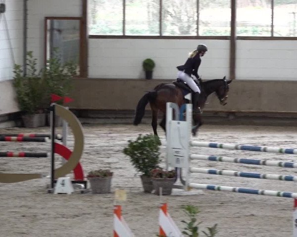 Spring-Late Entry Langenfeld - Gut Langfort 2022