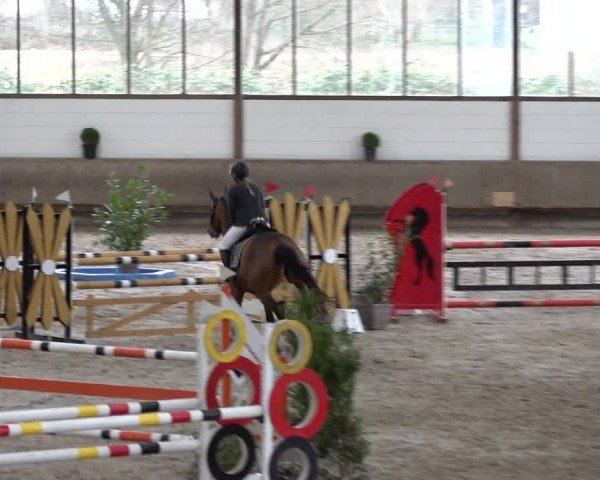 Spring-Late Entry Langenfeld - Gut Langfort 2022