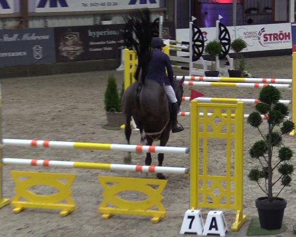 8. Nordic Jumping Event in Negernbötel 2022