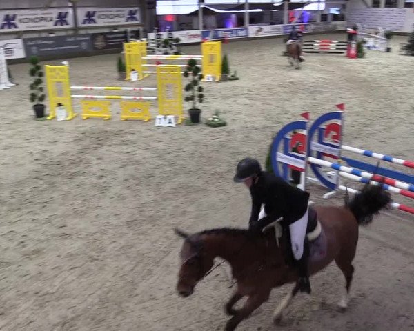 8. Nordic Jumping Event in Negernbötel 2022