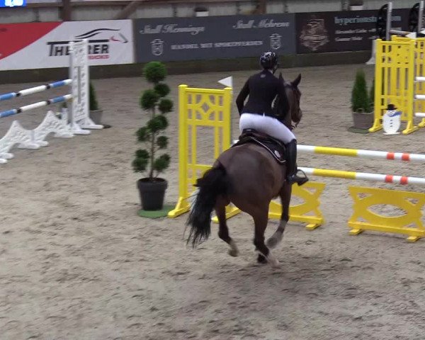 8. Nordic Jumping Event in Negernbötel 2022