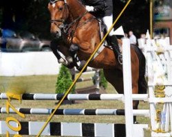 jumper Akim 49 (Oldenburg, 2004, from Akabo)