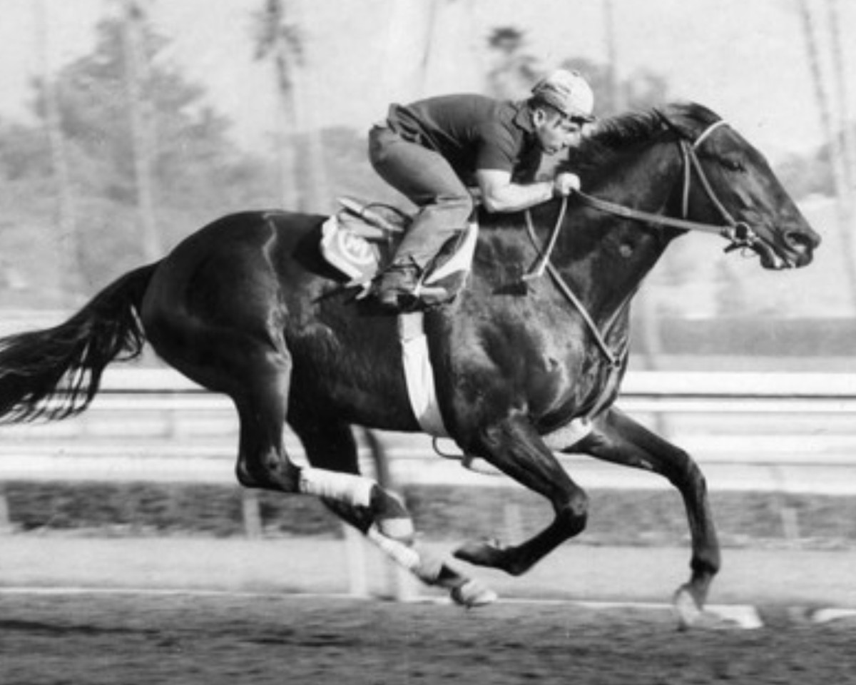 stallion Round Table xx (Thoroughbred, 1954, from Princequillo xx)