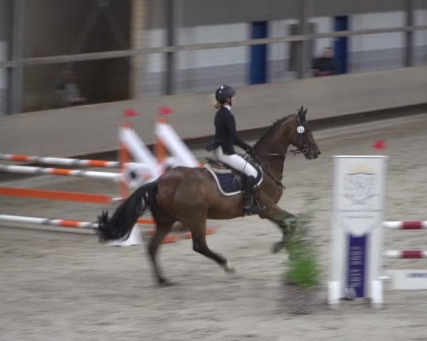 Spring-Late Entry Langenfeld - Gut Langfort 2022