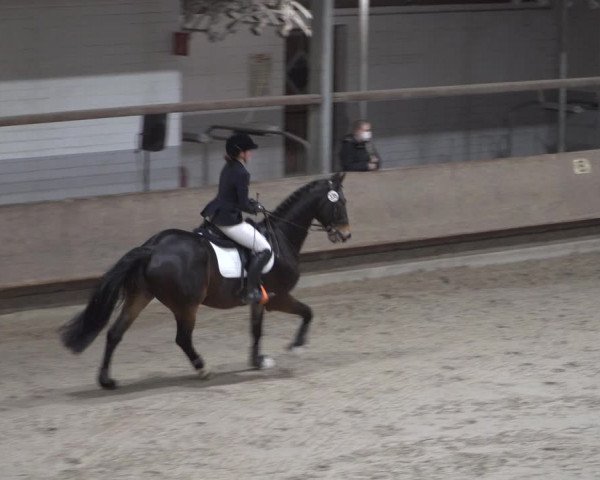Spring-Late Entry Langenfeld - Gut Langfort 2022