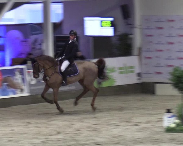 8. Nordic Jumping Event in Negernbötel 2022