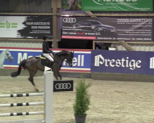 8. Nordic Jumping Event in Negernbötel 2022