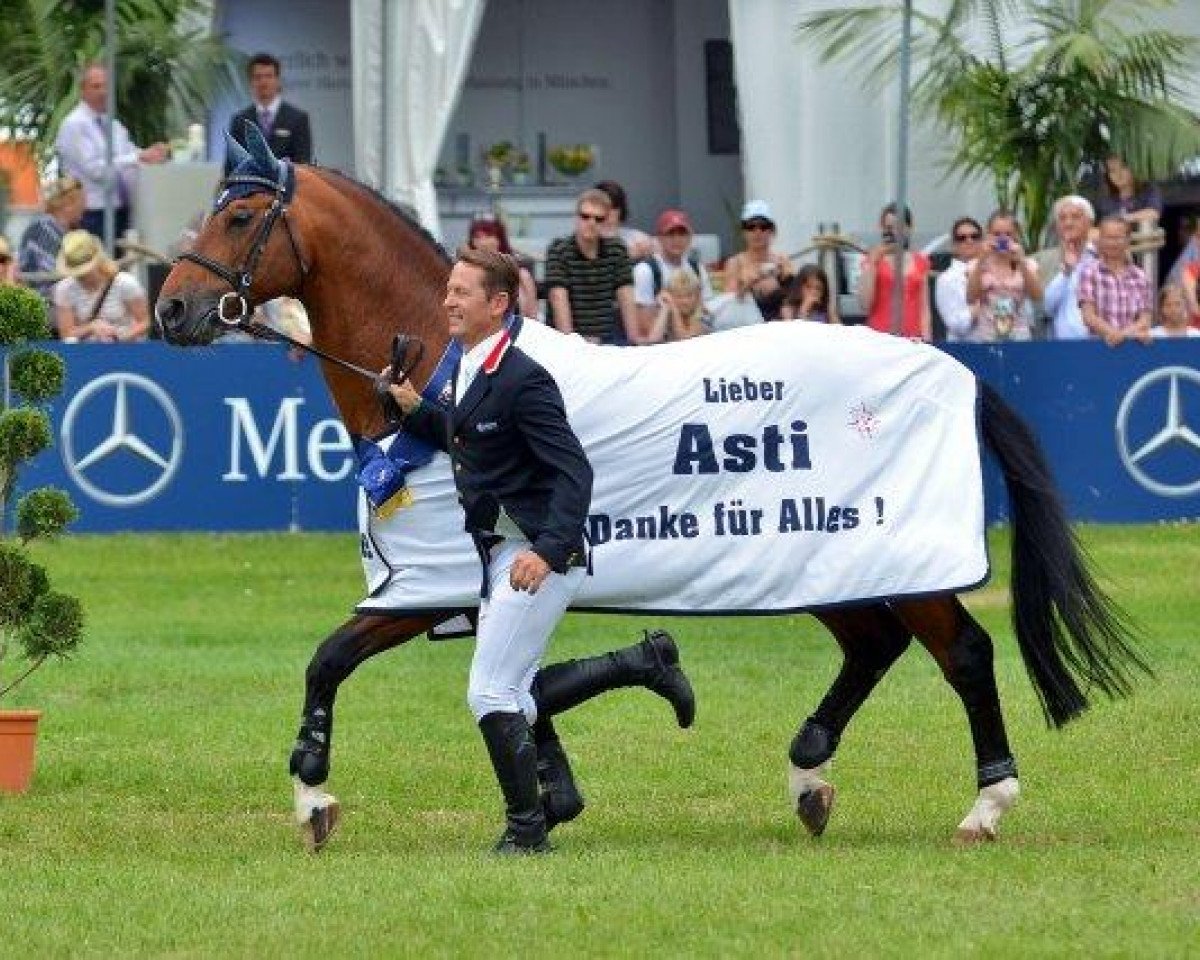 Deckhengst Asti Spumante 7 (Oldenburger, 1995, von Argentinus)