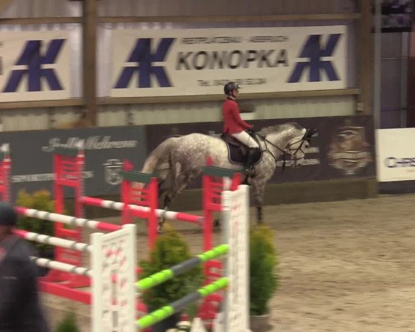 8. Nordic Jumping Event in Negernbötel 2022