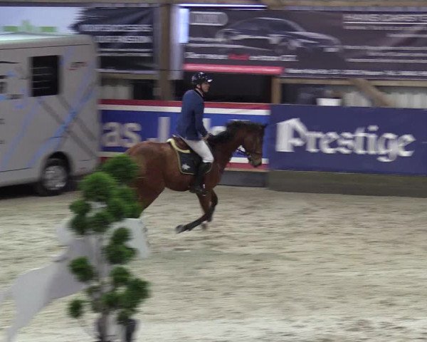 8. Nordic Jumping Event in Negernbötel 2022