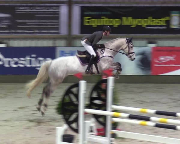 8. Nordic Jumping Event in Negernbötel 2022