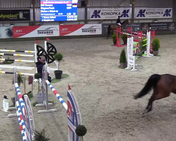 8. Nordic Jumping Event in Negernbötel 2022