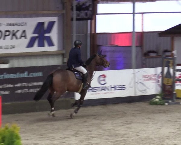 8. Nordic Jumping Event in Negernbötel 2022
