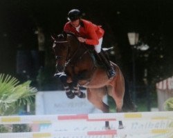 jumper Suzu (Westphalian, 2006, from Sandro Boy)