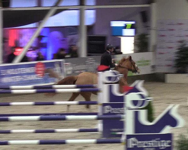 8. Nordic Jumping Event in Negernbötel 2022