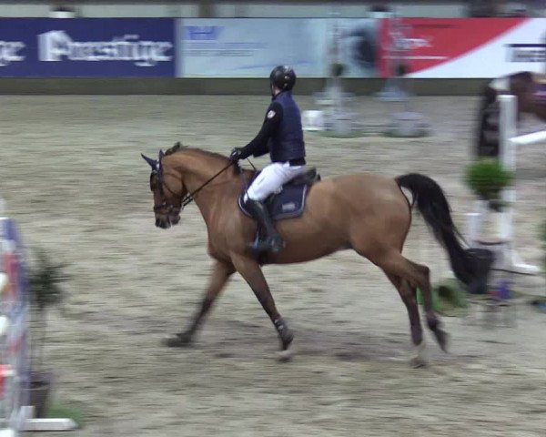 8. Nordic Jumping Event in Negernbötel 2022