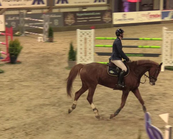 8. Nordic Jumping Event in Negernbötel 2022