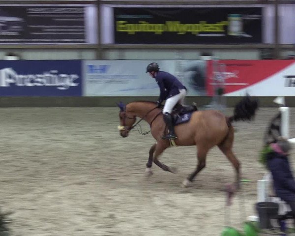 8. Nordic Jumping Event in Negernbötel 2022