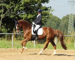 dressage horse Loxley's Lucky Charm (Rhinelander, 2012, from Lord Loxley I)