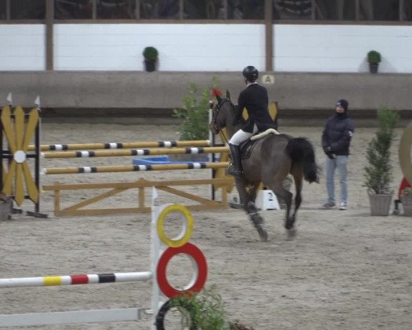 Spring-Late Entry Langenfeld - Gut Langfort 2022