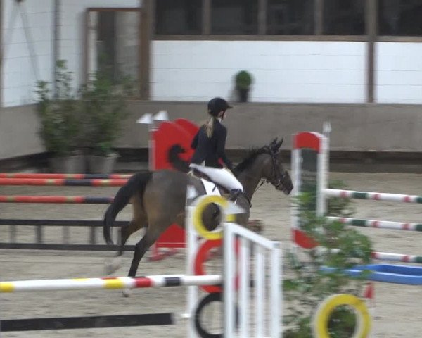 Spring-Late Entry Langenfeld - Gut Langfort 2022