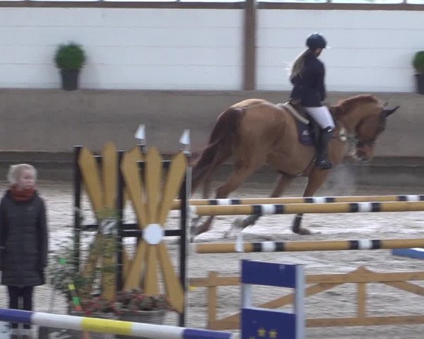 Spring-Late Entry Langenfeld - Gut Langfort 2022