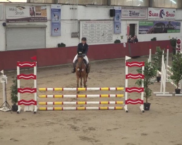 Reitturnier Neunkirchen-Furpach 2018