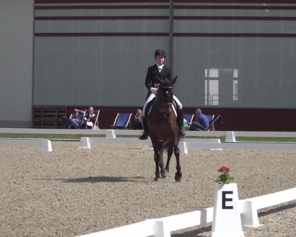 Reitturnier Zweibrücken 2018