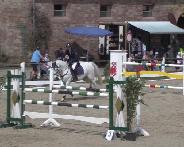 Reitturnier Zweibrücken 2018