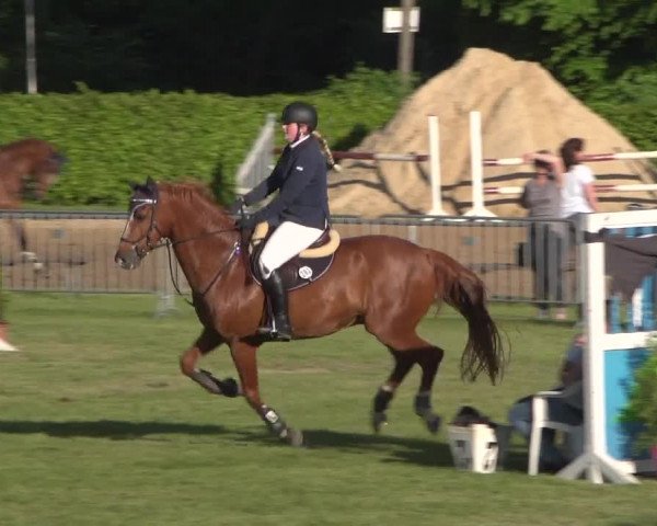Reitturnier Jülich 2018