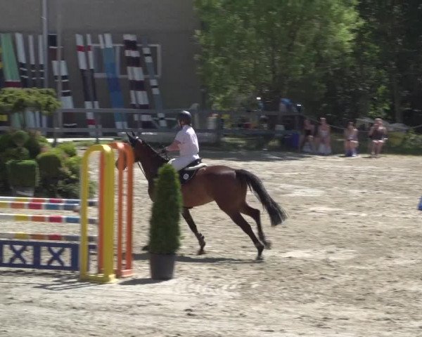 Reitturnier Kalenborn Hegehof 2018