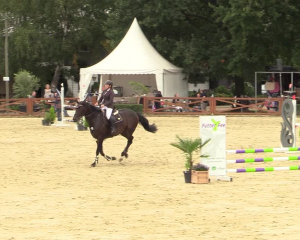 Equus Colonius - Reitanlage Brüse Köln 2021