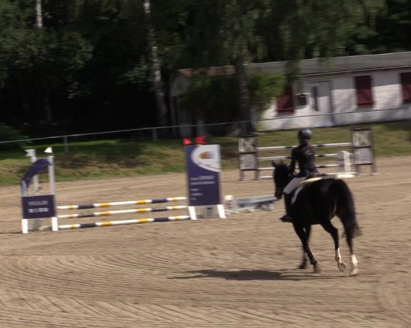 Reitturnier Lgl.-Oberhain, B95 2021