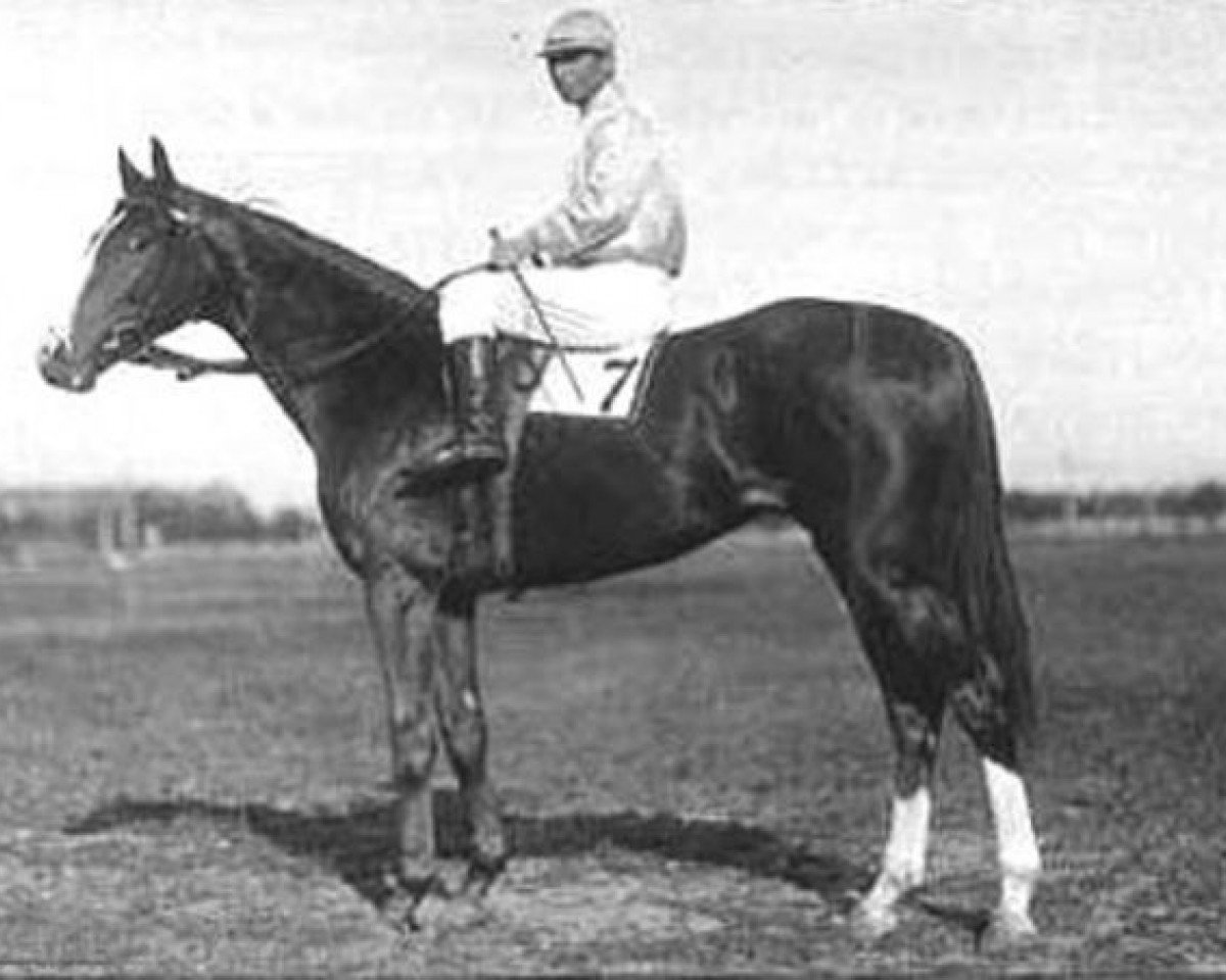 Deckhengst Granit II xx (Englisches Vollblut, 1930, von Tagor xx)