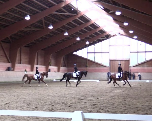 Reitturnier Dortmund-Barop 2021