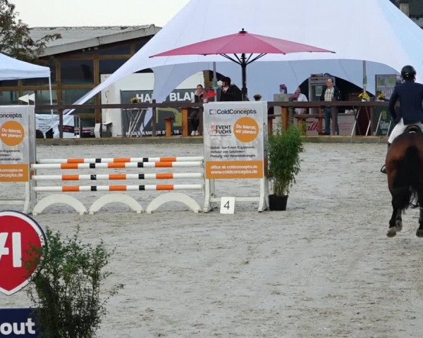 Reitturnier Leichlingen-Witzhelden 2021